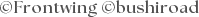 copyright